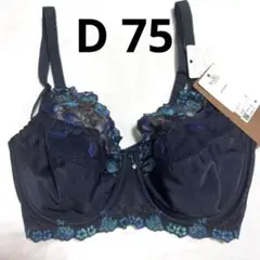 Item thumbnail for item 6040367d-0823-411e-b984-e70866d8d92b