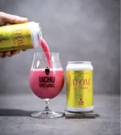 ATOM DRAGONFRUIT 2本セット