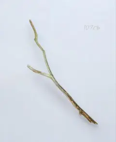 Item thumbnail for item dc4a01ce-ab44-4a29-ba24-87671e0d292f