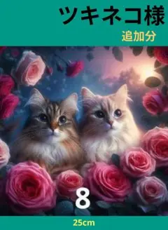 専用