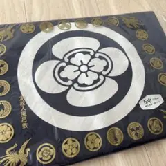 Item thumbnail for item b5c1812b-92b9-462d-b8c7-4490ba701318