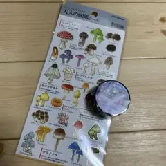 Item thumbnail for item fd5b2a8c-65ff-4ef2-9f18-e1c45cac82d8