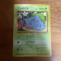 ポケモンカード　旧裏　フシギダネ