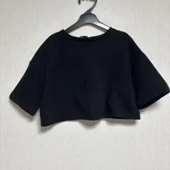 【値下げ】ZARA ブラック Tシャツ Sサイズ　ショート丈