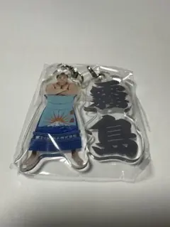 Item thumbnail for item 4ee3c7f7-13f3-4628-b3a7-7517a4152a69