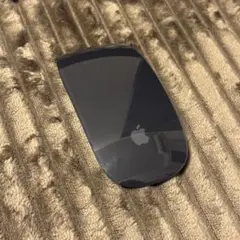 Apple Magic Mouse 2 グラック