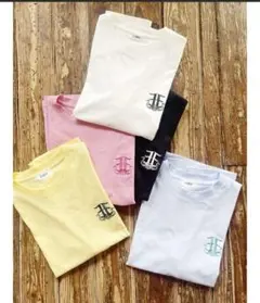 EVRIS エブリス E emblemカラーTシャツ
