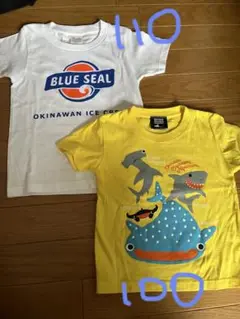 沖縄 Tシャツ 美ら海水族館 ブルーシール