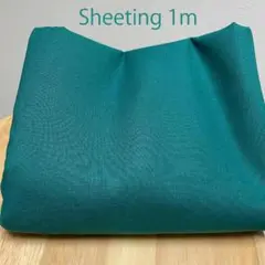 Item thumbnail for item 22e79589-f422-4851-9c8b-dd762d8db0fb