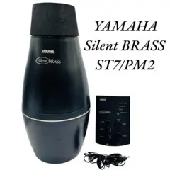 Item thumbnail for item a8b17c0e-1ae1-4fcf-aa4a-d58c8ad89ba7