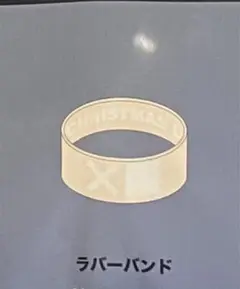 赤西仁 クリスマスライブ ラババン