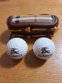 Burberrys ゴルフアクセサリーケース バーバリー フラグメントケース/クレジットカードケース/コイン