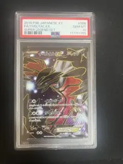 ゼルネアス　イベルタル　連番　PSA10 ジガルデ　PSA10 3枚セット ゼルネアス イベルタル 連番 PSA10 ジガルデ PSA10 3枚セット
