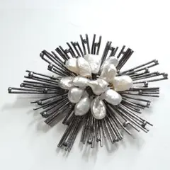 Item thumbnail for item 5ba001a1-0a87-4f45-a7d4-3fe2f08658ea