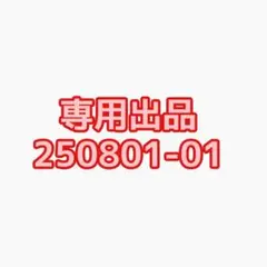 専用出品250801-01