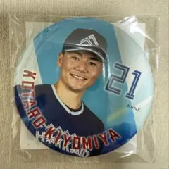 Item thumbnail for item 060b7152-7b9f-4008-8870-9be5018b1876