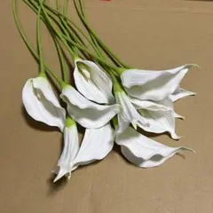 Item thumbnail for item 5f7cbda0-7484-4157-9872-289dc5b312e3