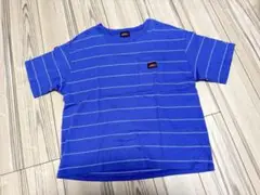 美品　Dickies ストライプ Tシャツ 青　Lサイズ