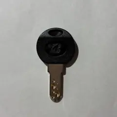 Item thumbnail for item 2d342541-a3ee-48e2-bf5b-edb8d43c8868