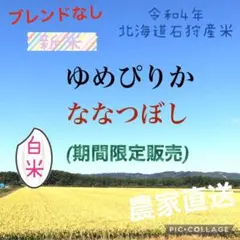 期間限定 白米 ゆめぴりか ななつぼし 令和4年産