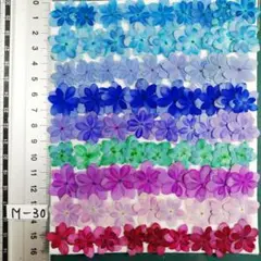 紫陽花　てまりてまり　　NoM-30　染色と自然　　押し花　押し花素材