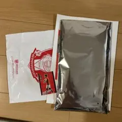 浦和レッズ　炎日タオル　#500マッチデーカード他