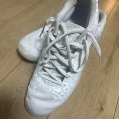 Item thumbnail for item 5302dadd-97a4-4595-a5f5-934d90d6cc7b