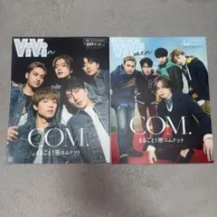 ViVi comまるごと一冊コムドット
