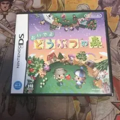おいでよどうぶつの森　DS ソフト　2
