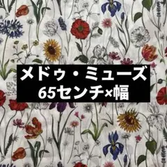 メドゥ・ミューズ　リバティ　65センチ