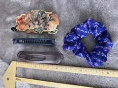 Item thumbnail for item 02aa63da-5926-4310-bd77-6d11f2a04b72