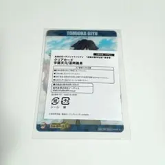 Item thumbnail for item 8bd2fff9-dbb1-4384-a88c-5ddc1e01f42d