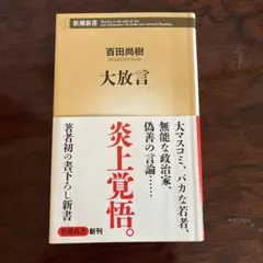 大放言