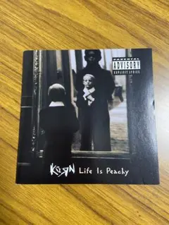 KORN/ライフ・イズ・ピーチィ