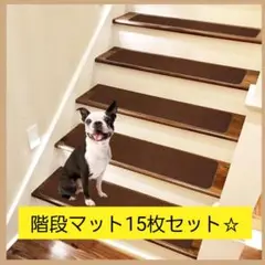 15枚入り階段マット♪階段用滑り止め幅広タイプ 洗える♪