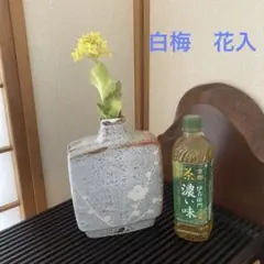 ♥志野　花器　桐箱付き　２　花瓶　掛花入れ　骨董品　アンティーク 2025年最新】Yahoo!オークション -志野焼 花入の中古品・新品