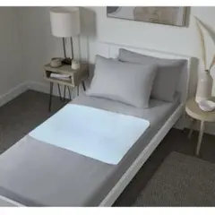 Item thumbnail for item 4eb784df-1c72-480f-8460-765f981ee198