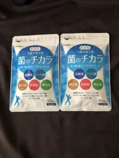 【2個セット】菌のチカラ 約3ヶ月分★ 乳酸菌 ビフィズス菌 納豆菌 酵母菌
