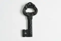 Item thumbnail for item 72de0c0d-d350-4393-9daf-5a8cfafe48e3