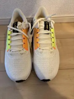Nike AIR ZOOM PEGASUS40 27.0センチ