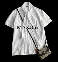 マックスアンドコーMAX＆Co クリスプコットン ボウタイリボン半袖ブラウス白