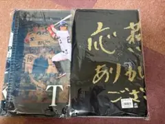 ヤクルトスワローズ　青木宣親引退記念フェイスタオル2枚セット