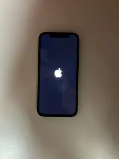 iPhone 12 本体