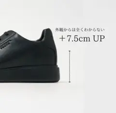 standool tokyo SAI BLACK