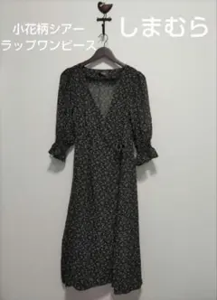 Item thumbnail for item 2c3408df-ff1a-46fb-84c6-1535755e4d94