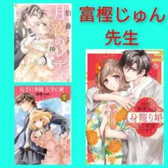 富樫じゅん　レディースコミック　3冊セット