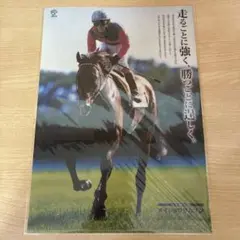 メイショウサムソン クリアファイル　JRA配布品