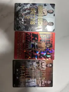 RIZIN ポテトスティック　堀口　朝倉未来