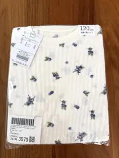 Item thumbnail for item a39f4d1f-cc58-4fc9-993a-1aace4ba3012