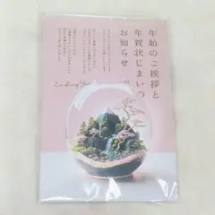 ✨新品✨年賀状じまい 新年お知らせ 私製10枚入り 翌年も使える
